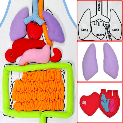 Fun Body Anatomy Learning Game